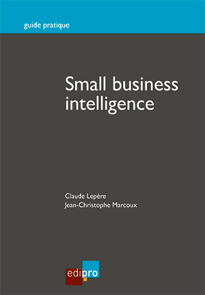 Small business intelligence