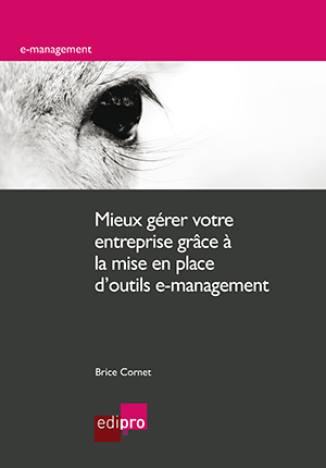 Mieux gérer votre entreprise grâce à la mise en place d'outils e-man