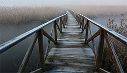 L'impact fiscal du droit passerelle L'impact fiscal du droit passerelle